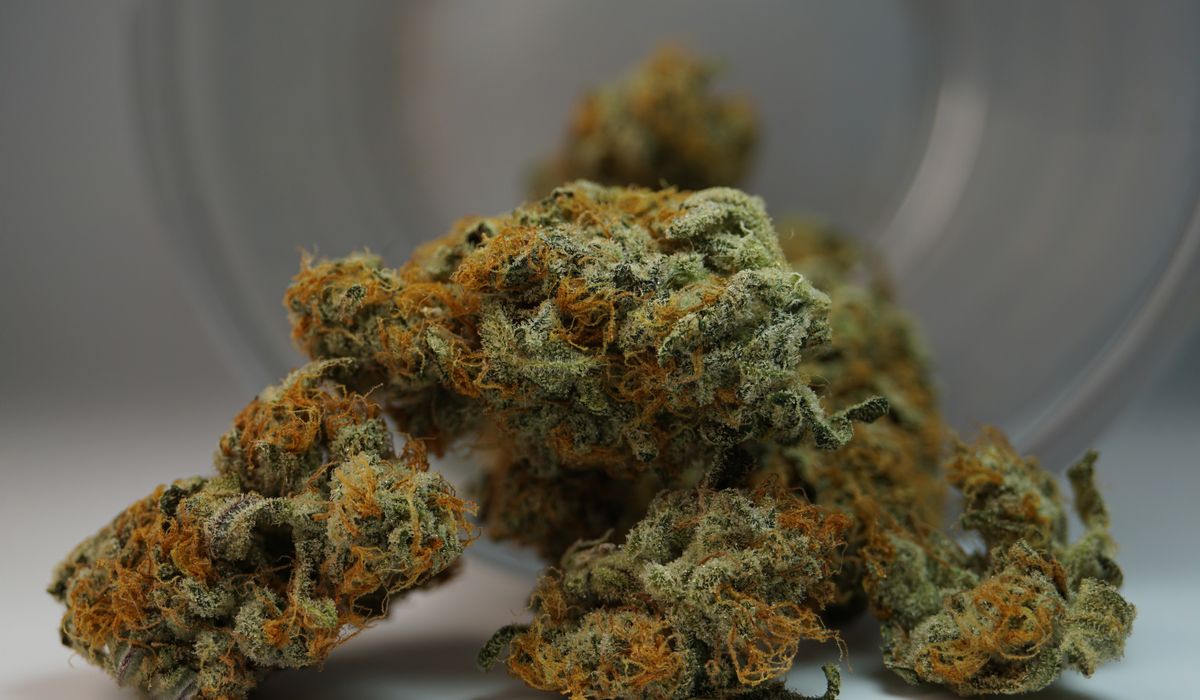 Customer at a cannabis dispensary counter